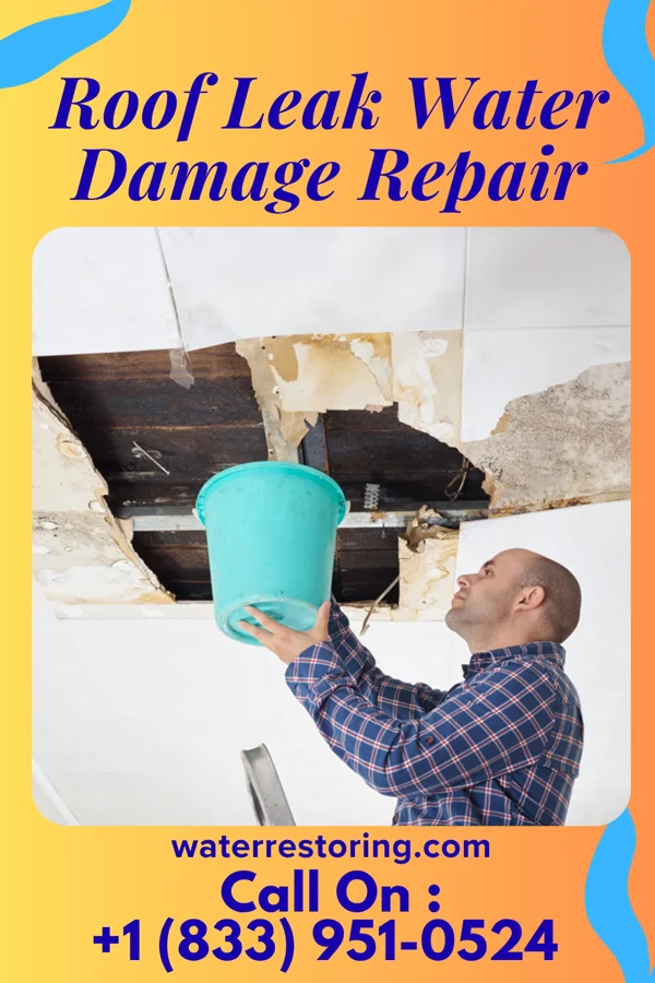 Roof Leak Water Damage Repair in Alamogordo, NM